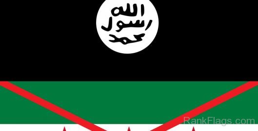 Nation Of Islam Flag