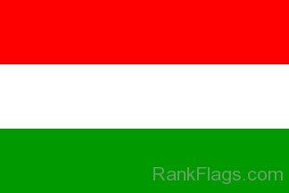 Pakistan Awami Tehreek Flag