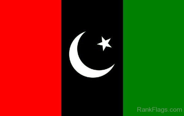 Pakistan Peoples Party Flag