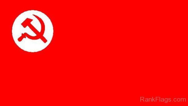 Revolutionary Socialist Party Flag