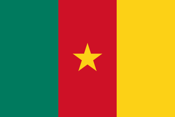 Flag Of Cameroon -1975
