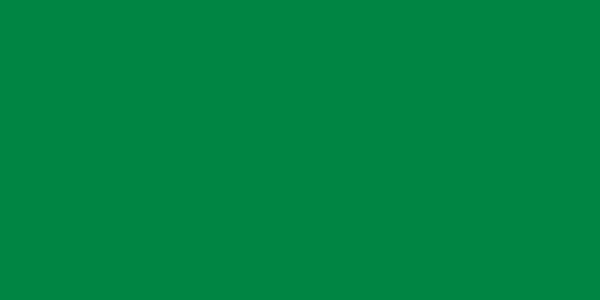 Flag Of Libya -1977-2011