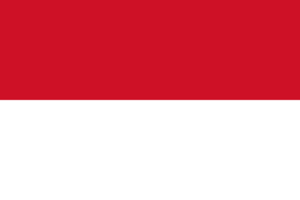 Flag Of Indonesia -1949
