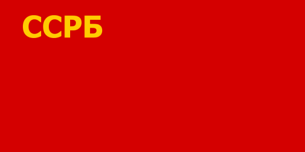 New Flag Of Belarus -1919