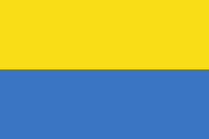 Flag Of Ukraine -1917 - RankFlags.com – Collection of Flags