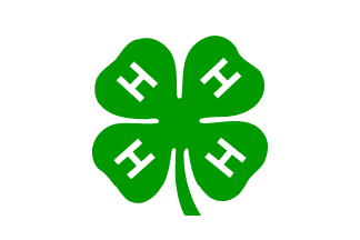 Flag Of 4-H Club