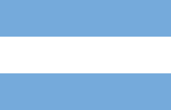 Flag Of Argentina -1816