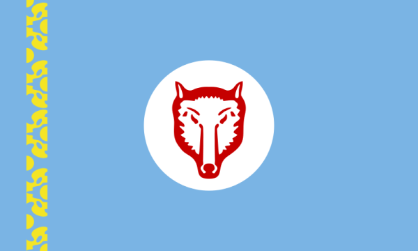 Flag Of The Gagauz People